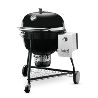 Summit Charcoal