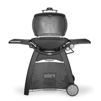 Weber Q
