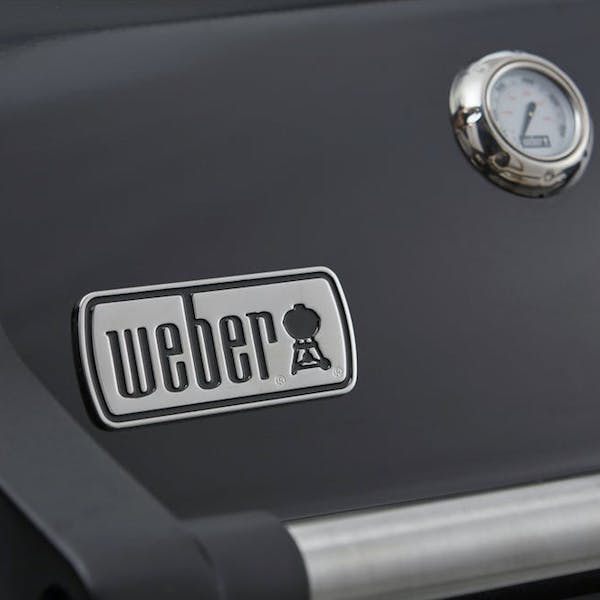 Газовый гриль Weber Spirit E-325